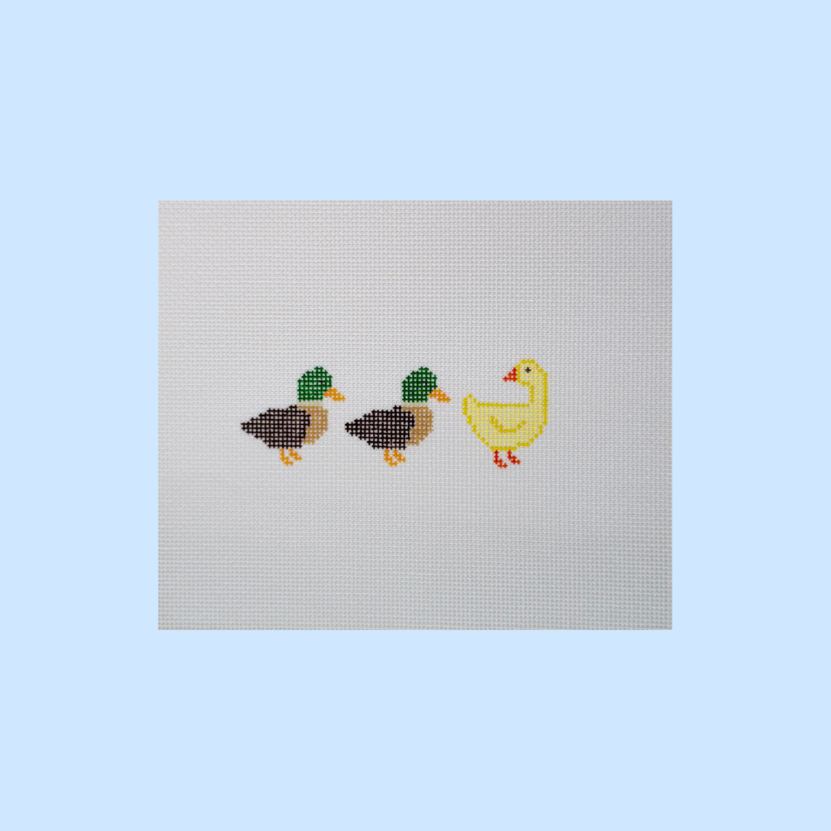 Duck, Duck, Goose Canvas